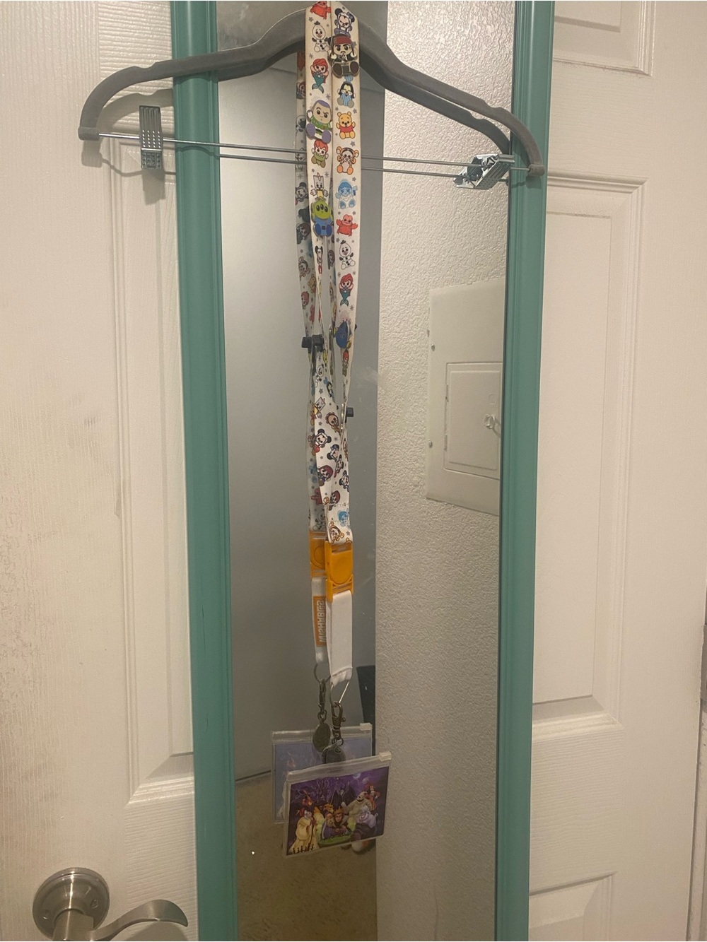 Disney wishables lanyard with Disney pins